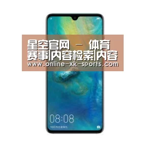华为无线快充手机