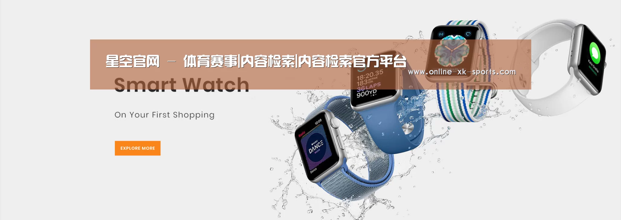 某某网络科技有限公司