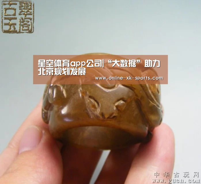 星空体育app团队