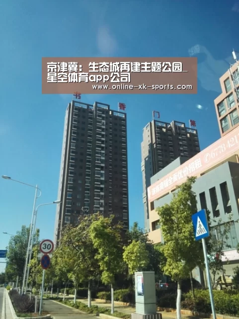 星空体育app团队