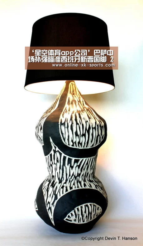 星空体育app公司