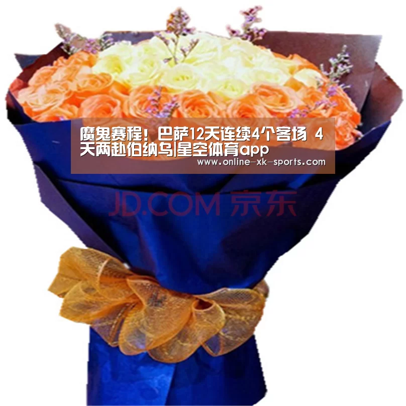 星空体育app