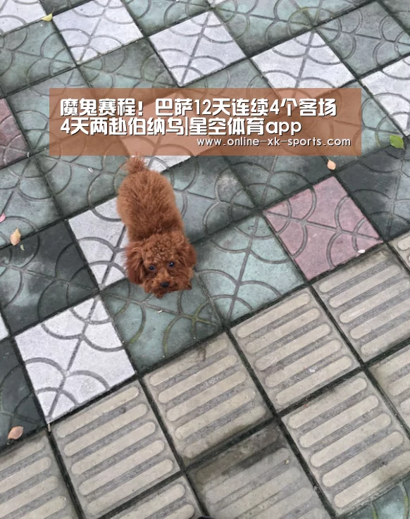 星空体育app公司