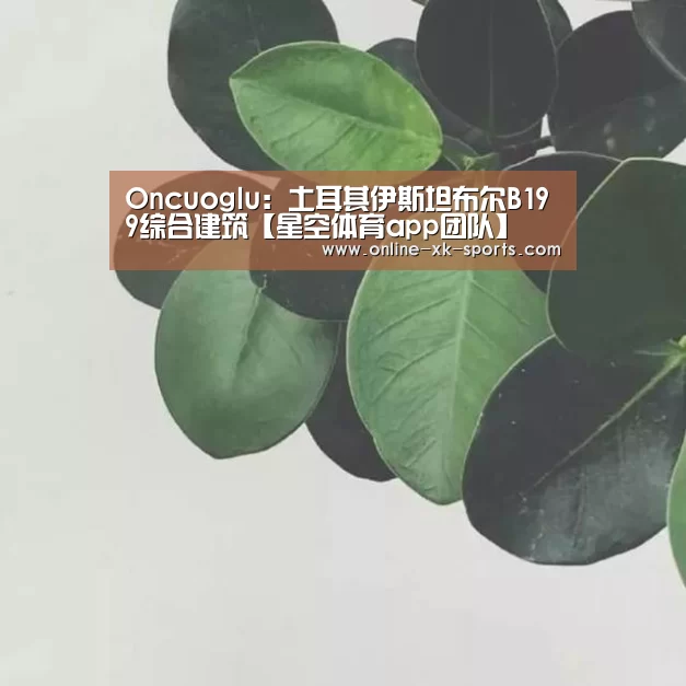 星空体育app团队