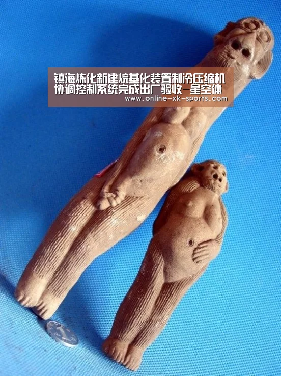 星空体育app部门